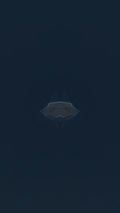 Desert Hour 006