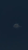 Desert Hour 010