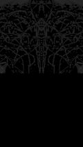 The Dark Lace 016
