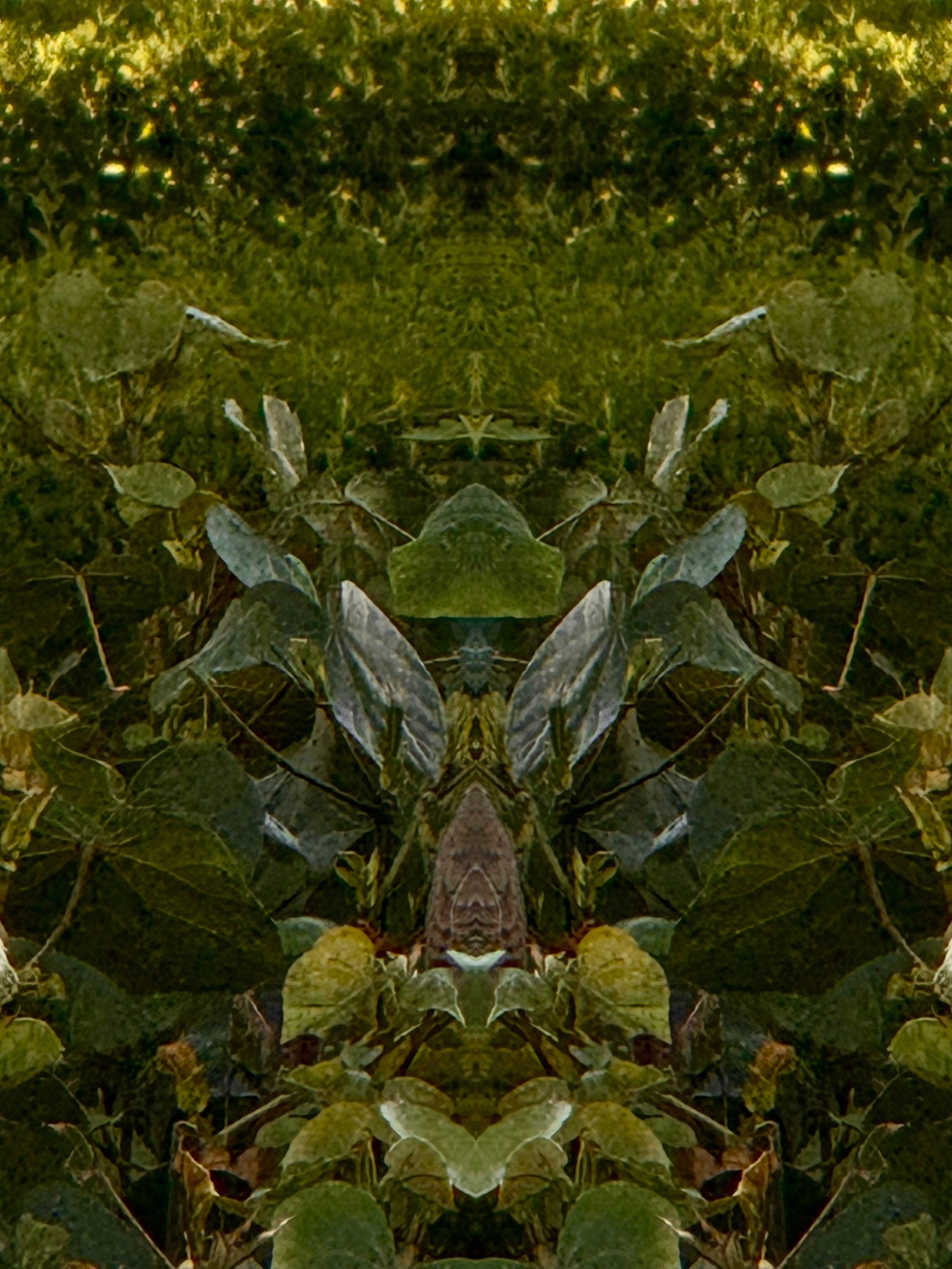 Emerald Mirror 001