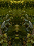 Emerald Mirror 004