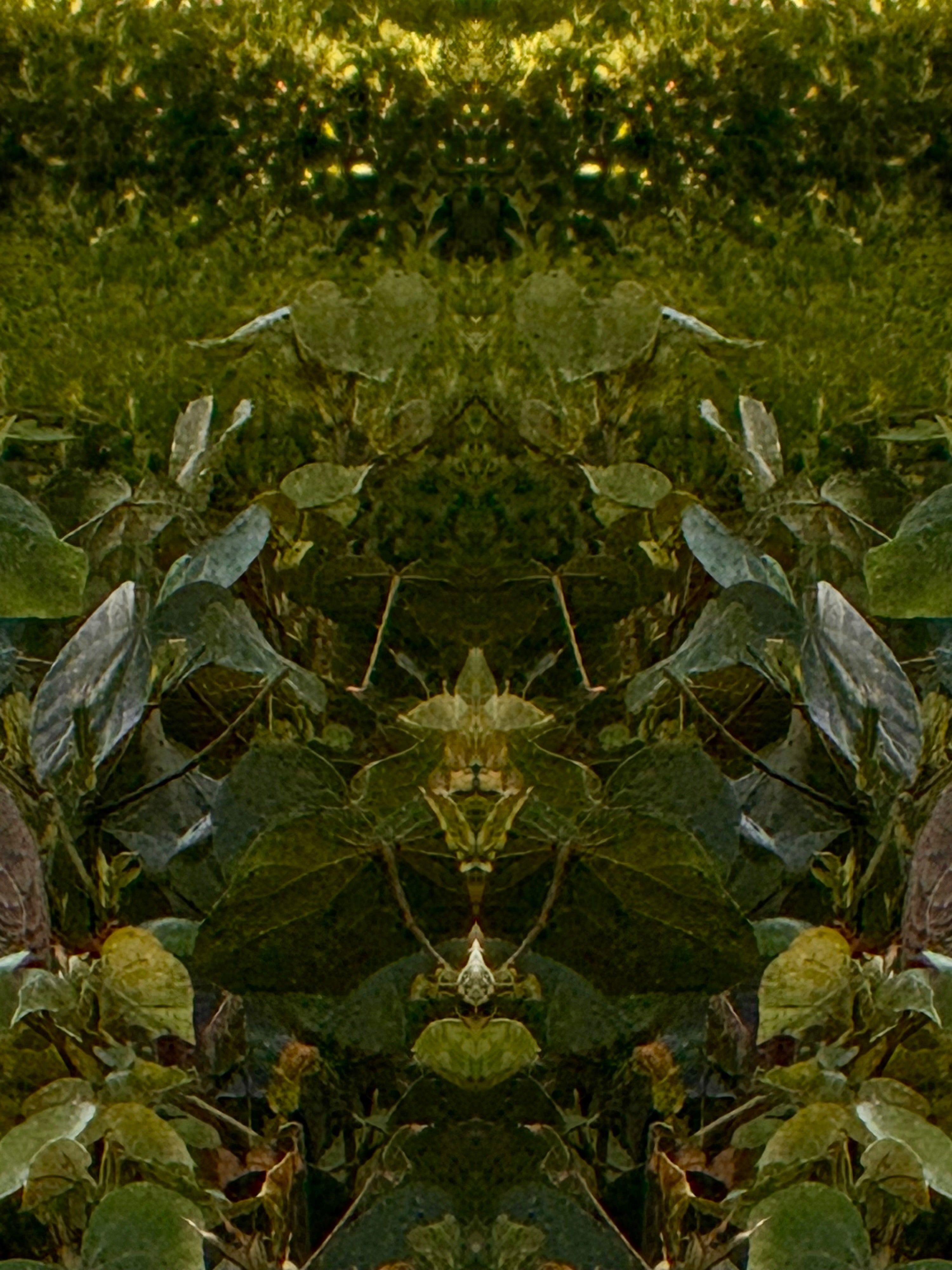 Emerald Mirror 004