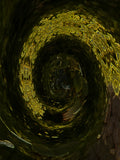 Emerald Mirror 006