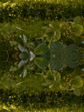 Emerald Mirror 010