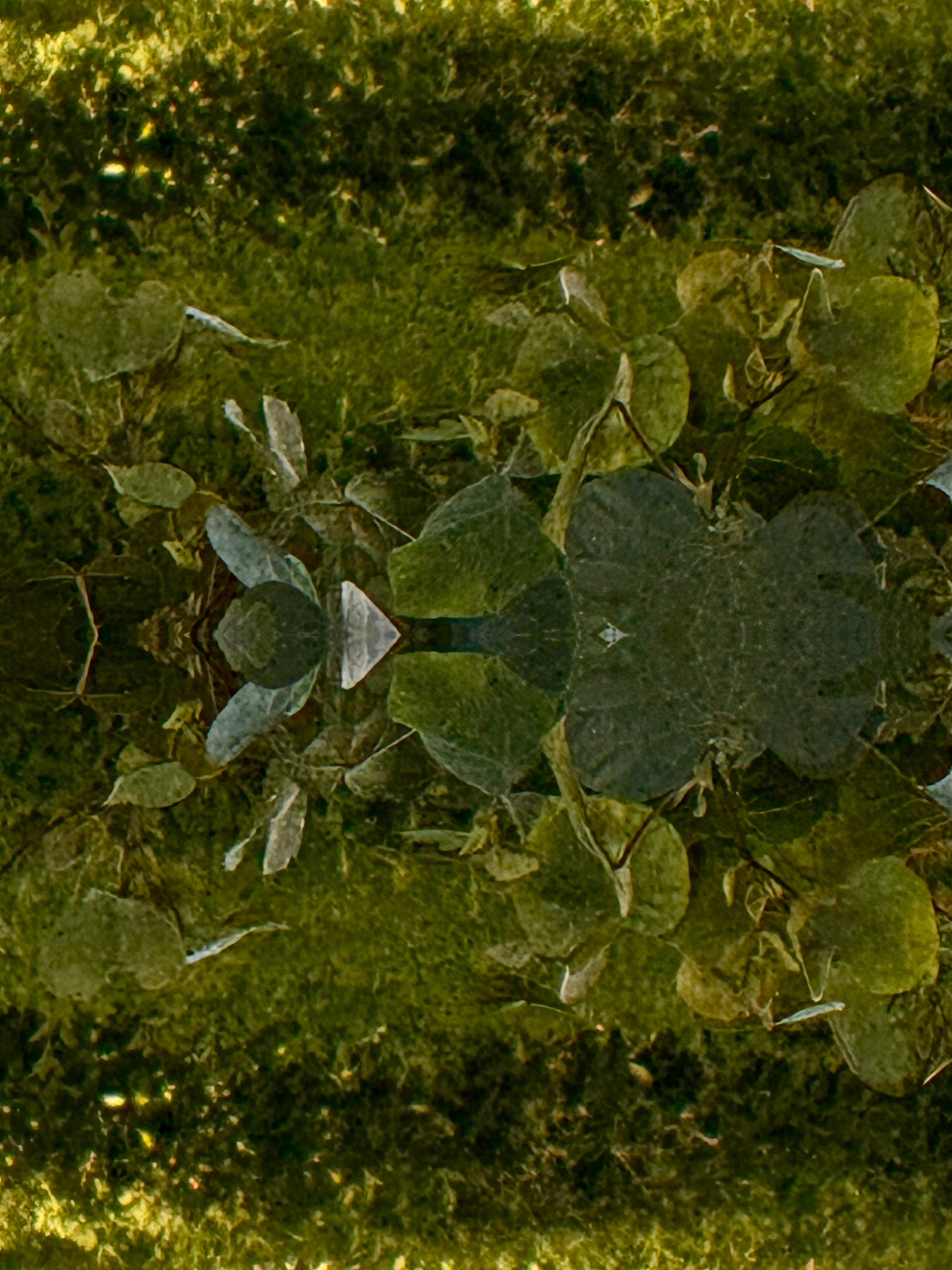 Emerald Mirror 010