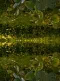 Emerald Mirror 011