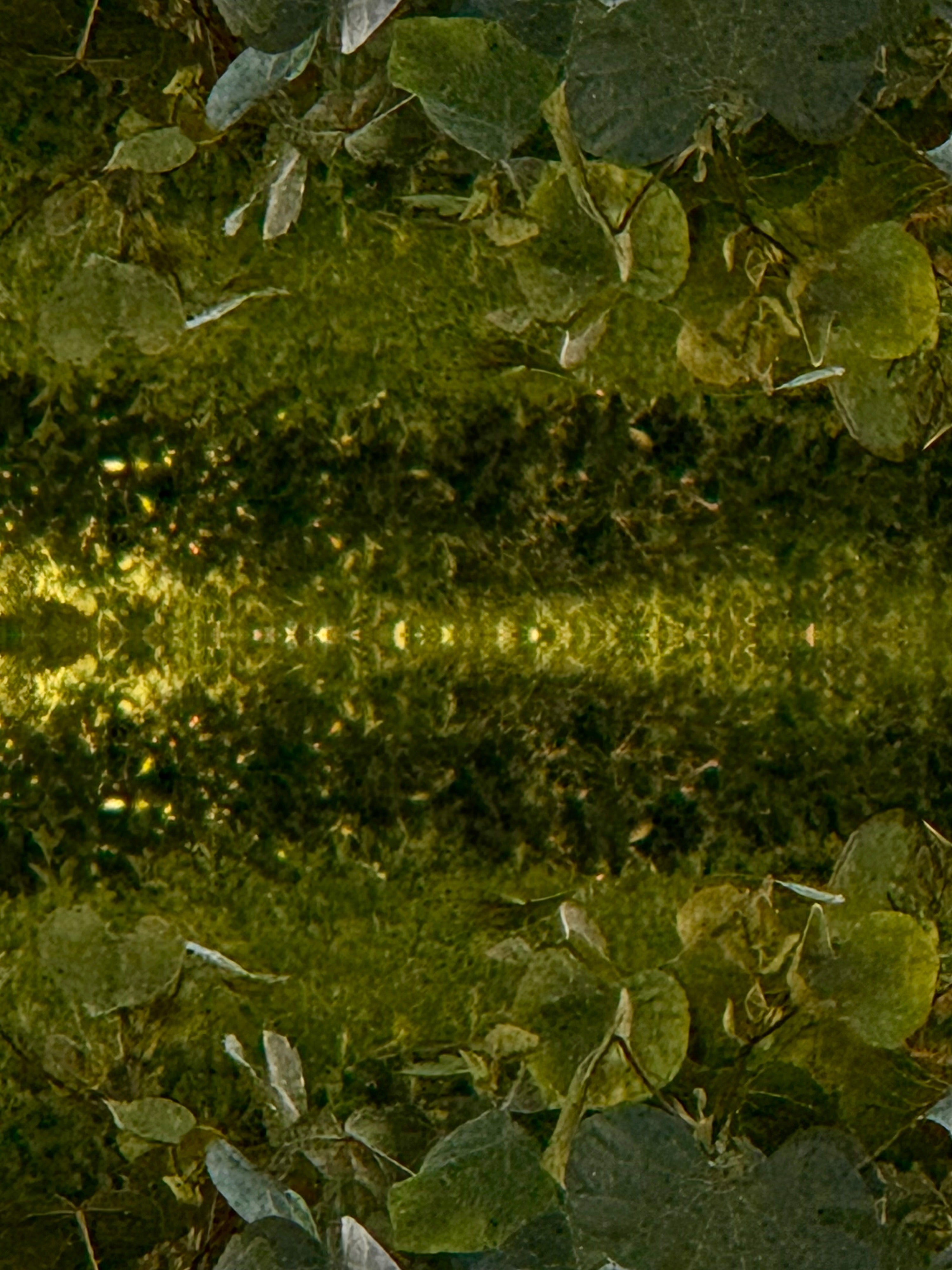 Emerald Mirror 011