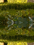 Emerald Mirror 015