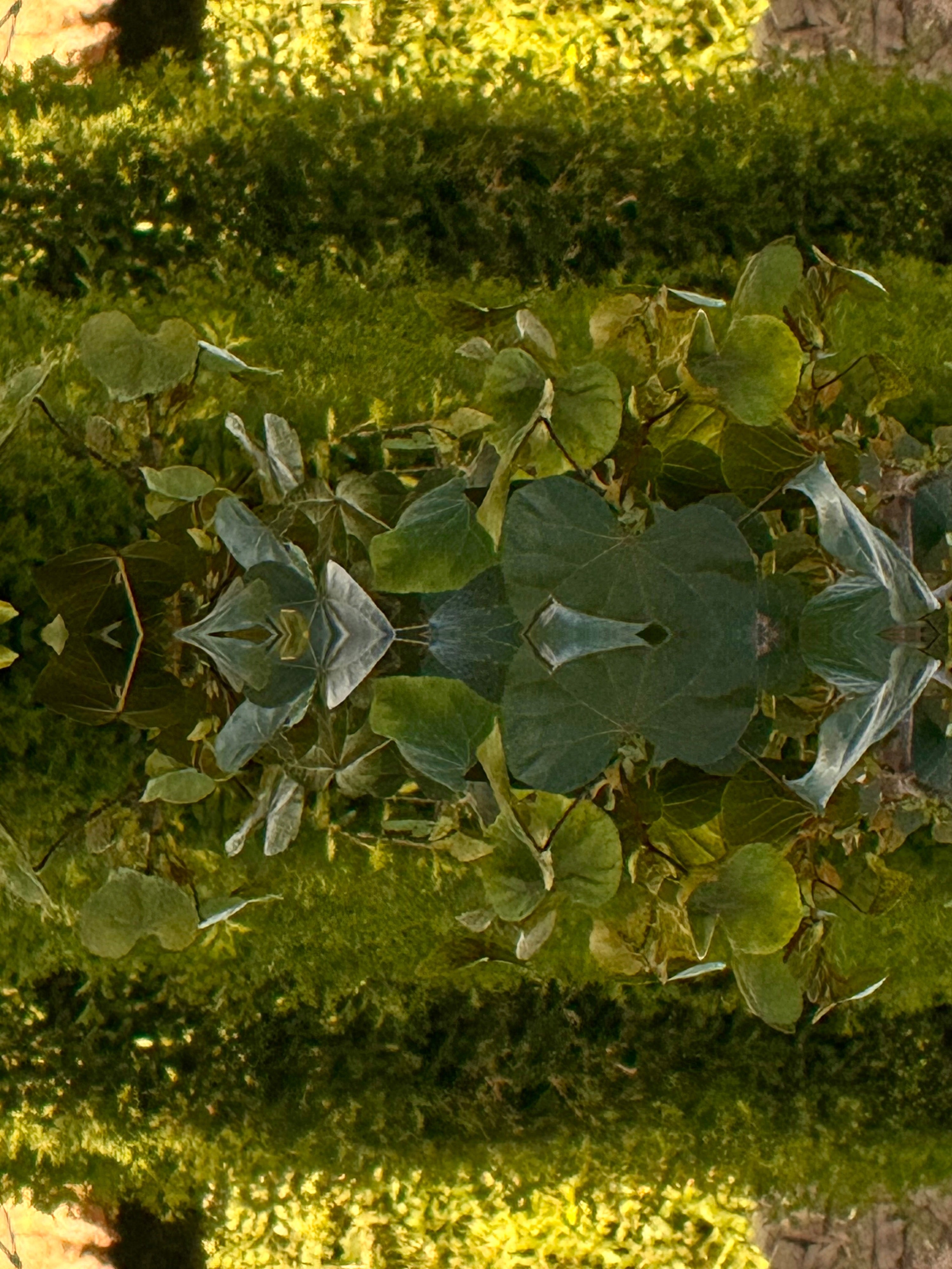 Emerald Mirror 015