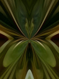 Emerald Mirror 019