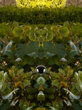 Emerald Mirror 022