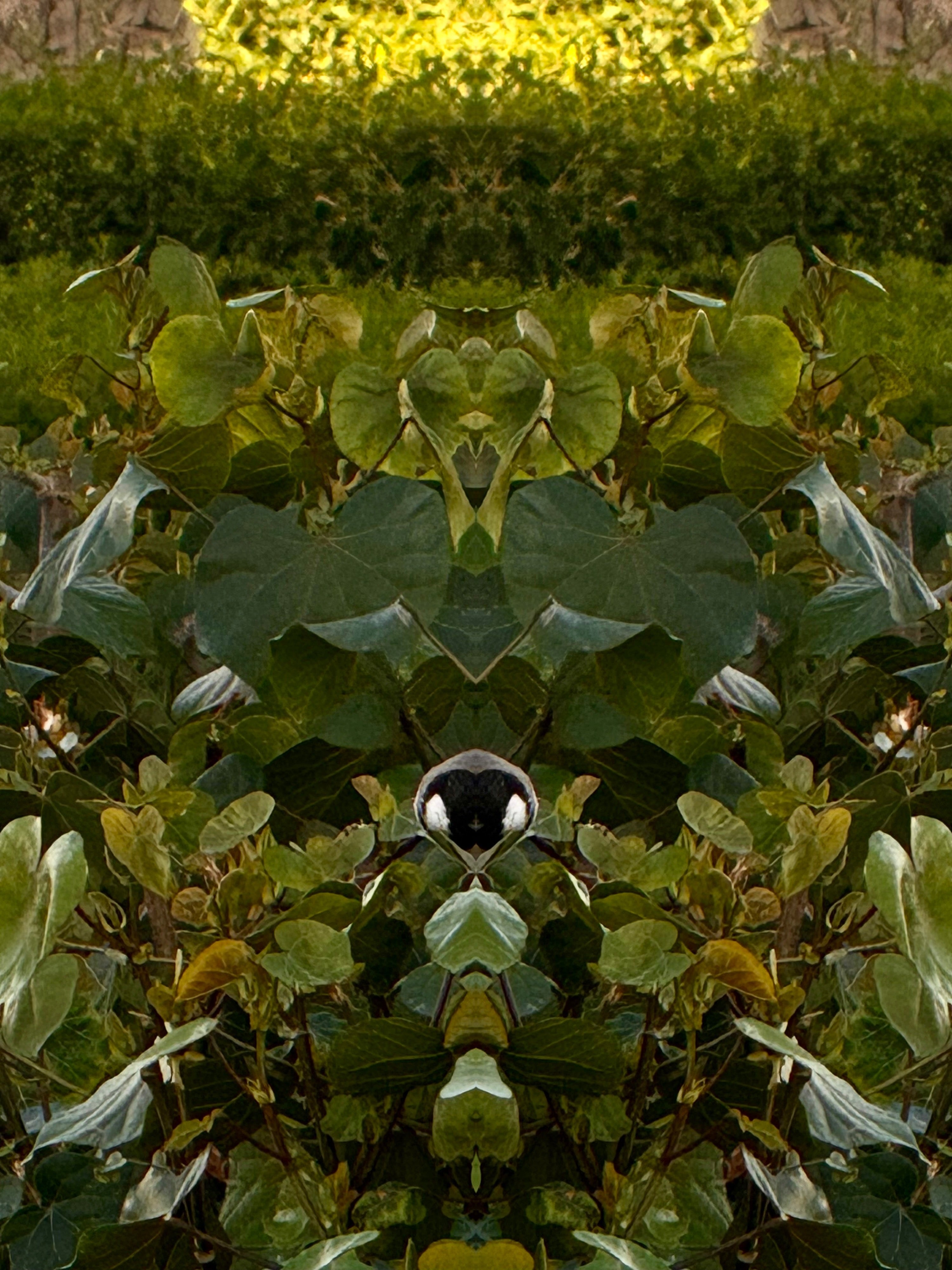 Emerald Mirror 022