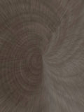 Slow Waves 004