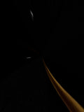 Transit Signals 018