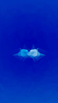 White Signal 008