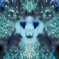 The Forest Code — Unknown Presence Collection